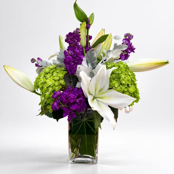 Lady of the Court