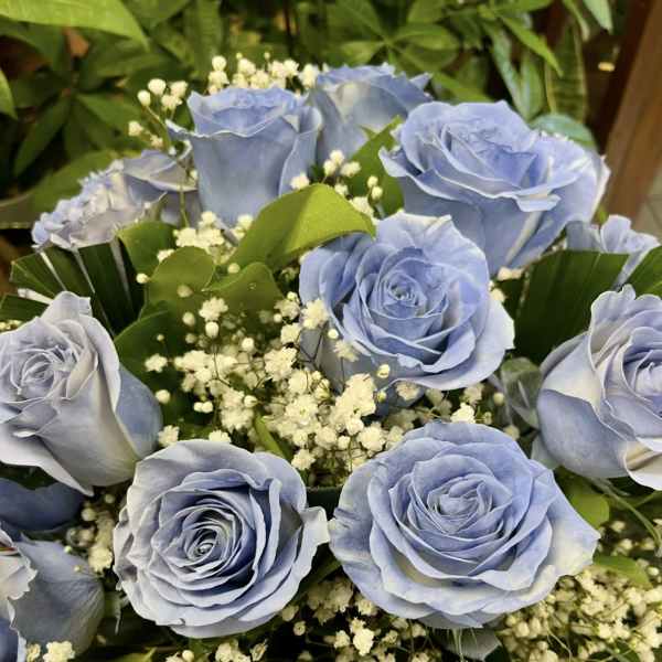 Bouquet of pale blue roses with white baby's breath