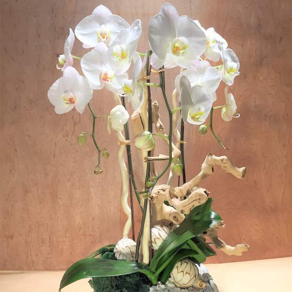White orchids arranged in a white rectangular planter