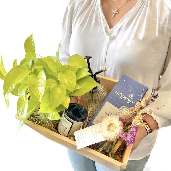 Gift tray with a potted plant, candle, dried flowers, and a chocolate bar