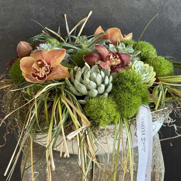 Orchid and succulent arrangement in a white container with trailing grass