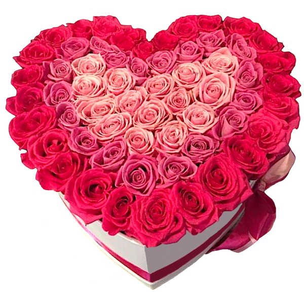Heart-shaped box filled with pink and red roses