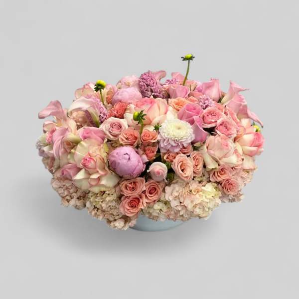 Pastel Fever