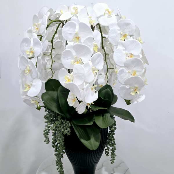 White orchids arranged in a black vase with trailing greenery
