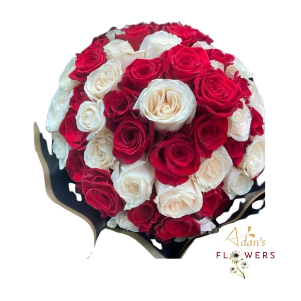 Bouquet of red and white roses wrapped in black paper