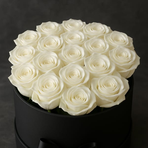 Silent Grace