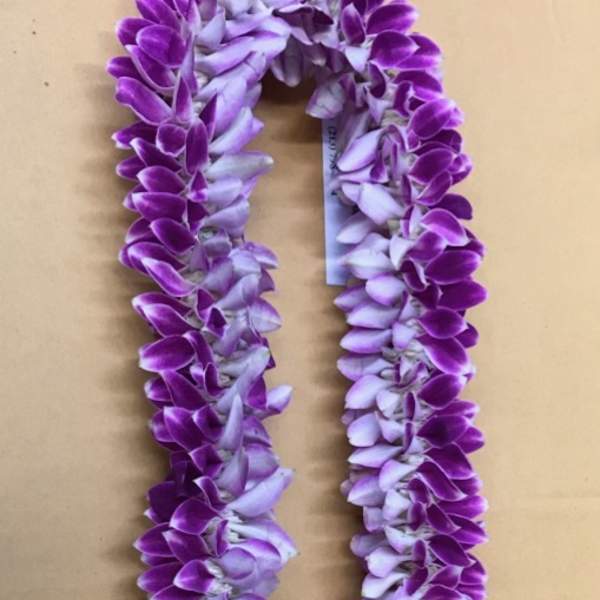 Princess Lei