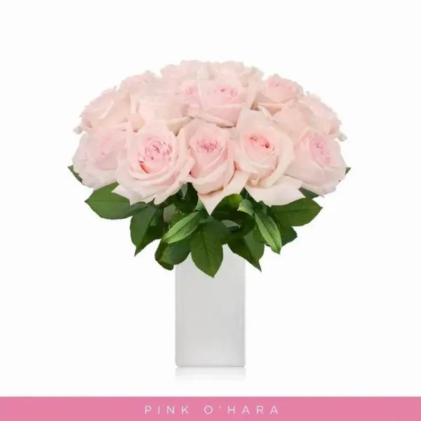 Bouquet of pale pink roses in a white vase