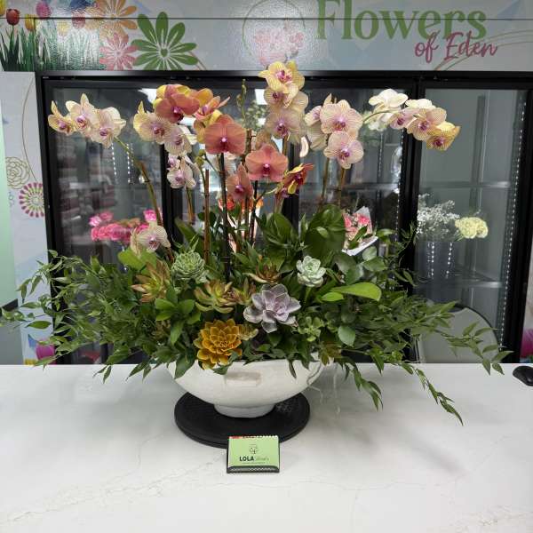 Orchid and succulent arrangement in a white bowl vase