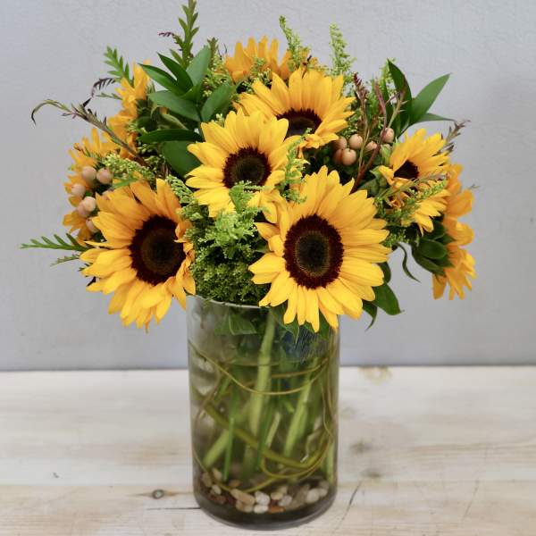 Sunflowers Glee - Glendale Flowers