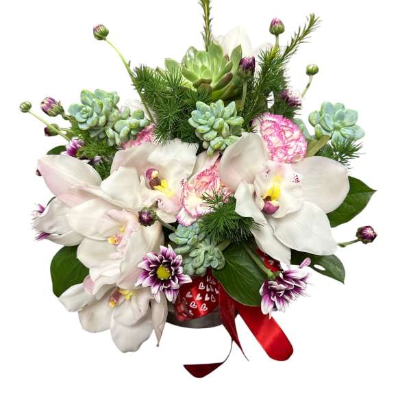 Orchid garden 124