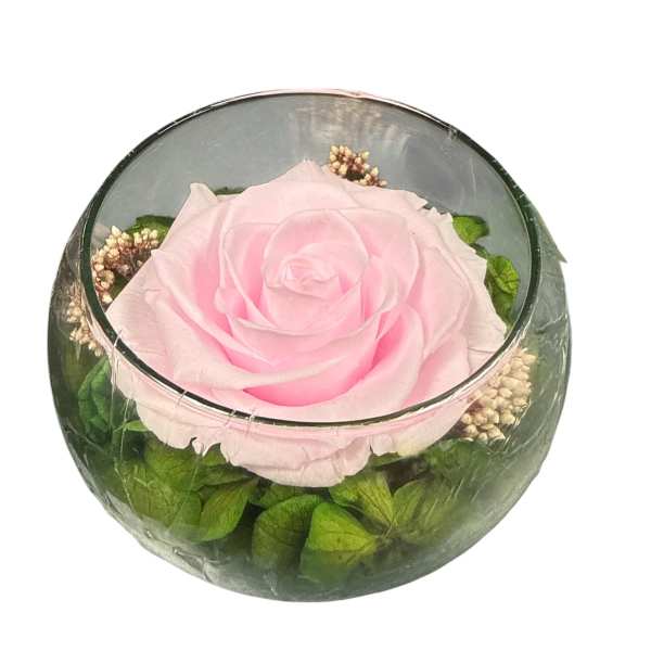 Preserve rose last Forever 14