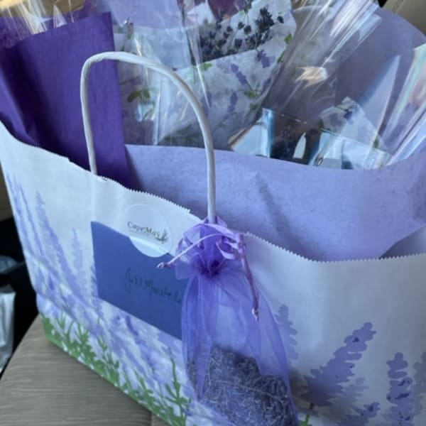 LAVENDER BUNDLE