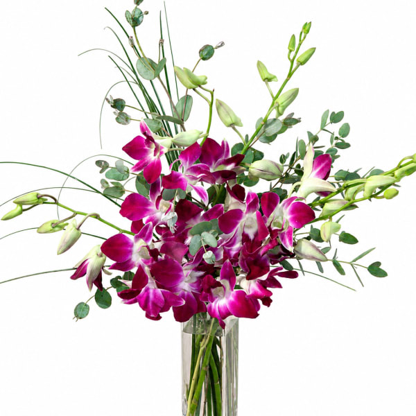 Magenta orchids in a tall clear glass vase with airy greenery