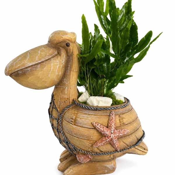 Pelican-shaped planter with green foliage and white stones