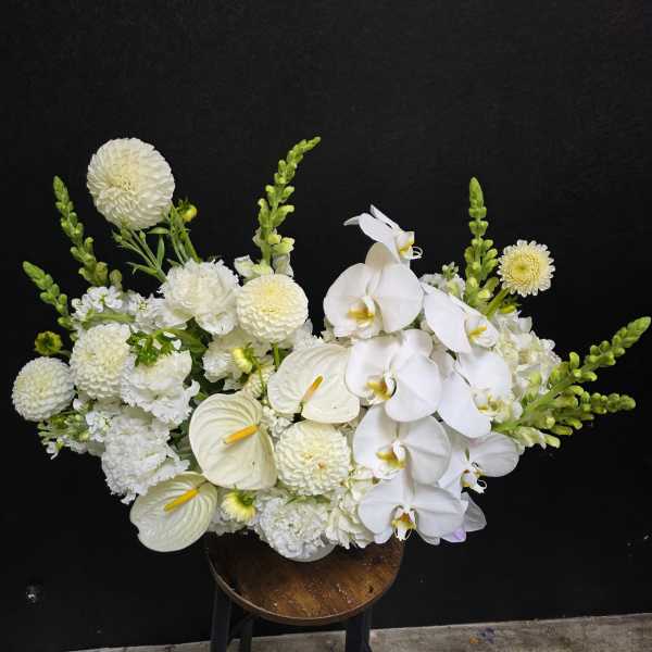 Luminous Elegance