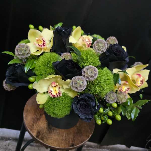 Black Velvet & Lime