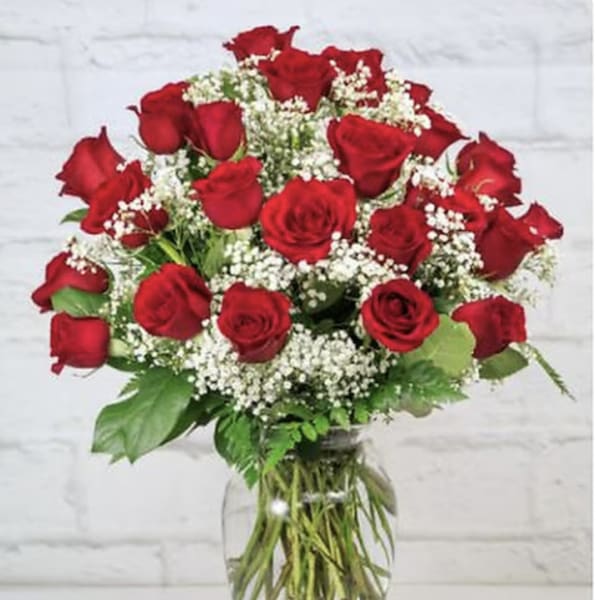 2 DOZEN RED ROSES