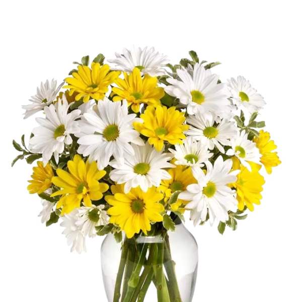 Yellow and white daisy bouquet in a clear glass vase