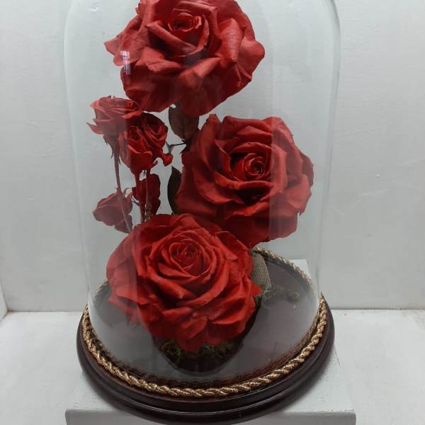 Three red roses under a glass dome on a dark base