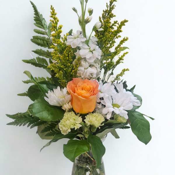 Fresh and Radiant