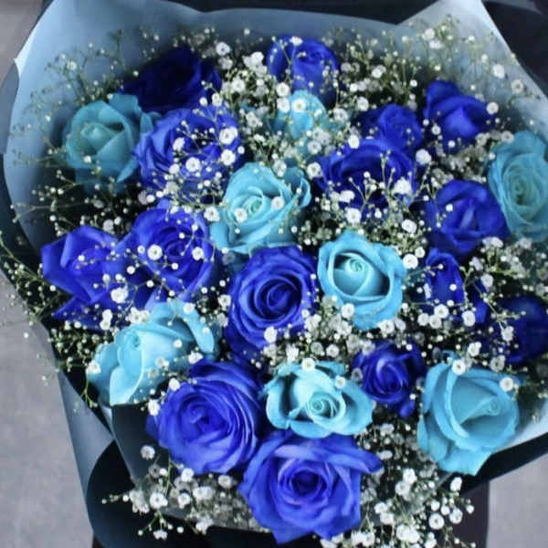 Bouquet of blue and purple roses with white baby's breath