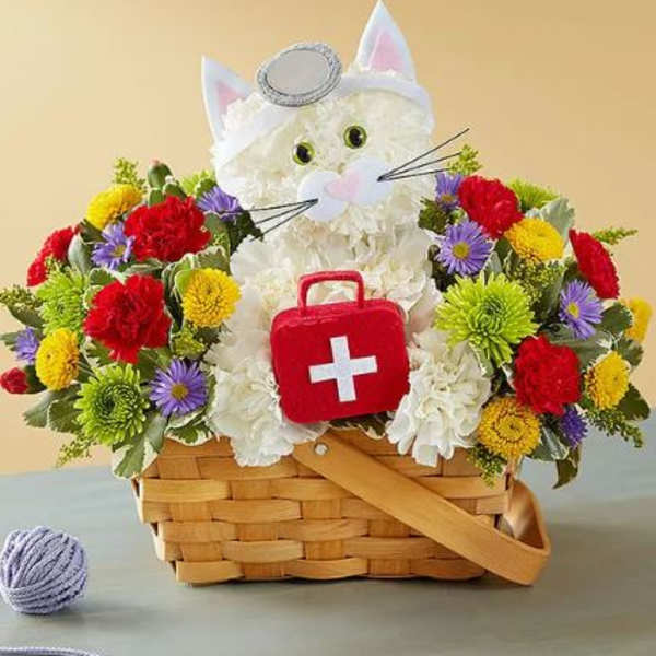 Cure-All Kitty