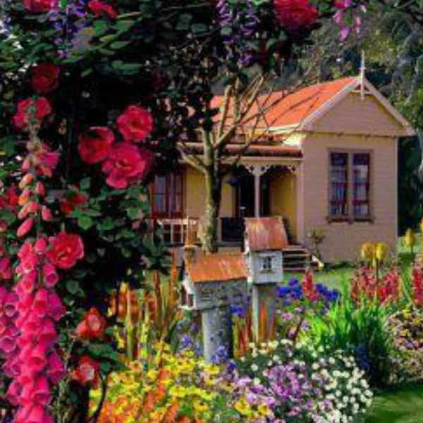 Colorful flower garden around a small house and birdhouses