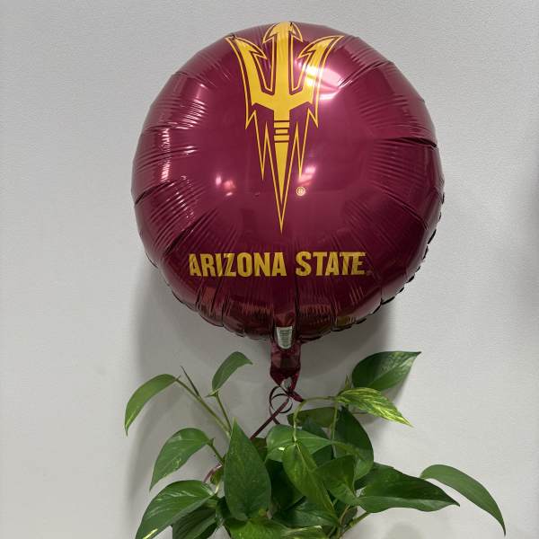 ASU Smiley Plant & Dutch Bros.