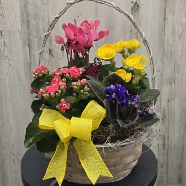 Blooming Basket for Mom