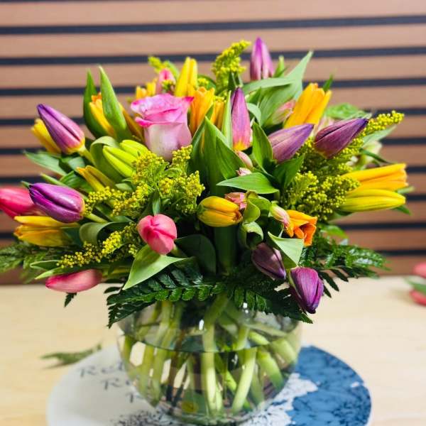 Tulip Beauty Mix