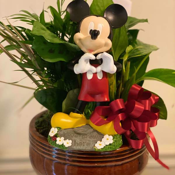 Mickey Mouse Sympathy Arrangement