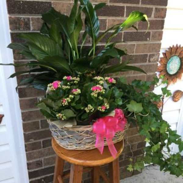 Potted plant arrangement with pink blooms in a wicker basket on a stool