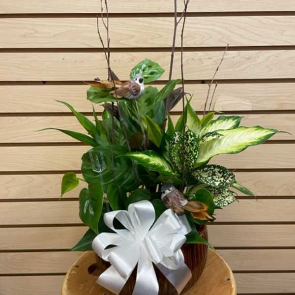 Tropical plant arrangement in a pot with a white bow and decorative bird picks