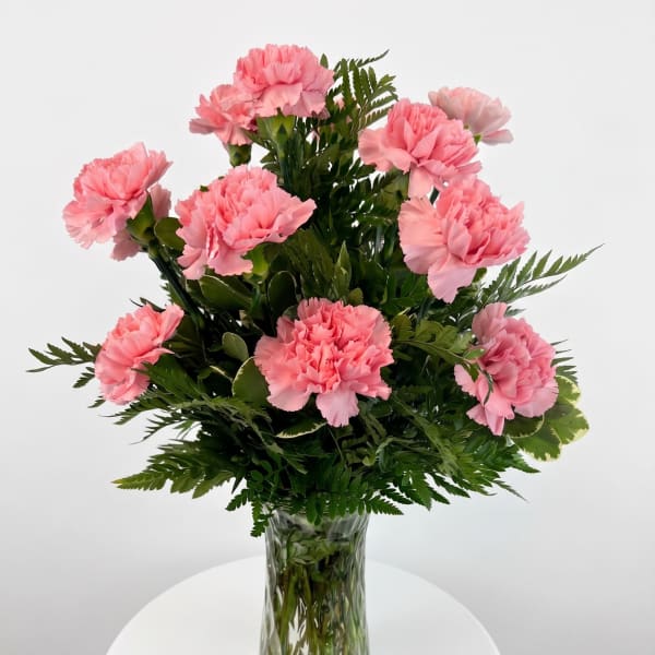 Pink Carnations (Vase Arrangement)