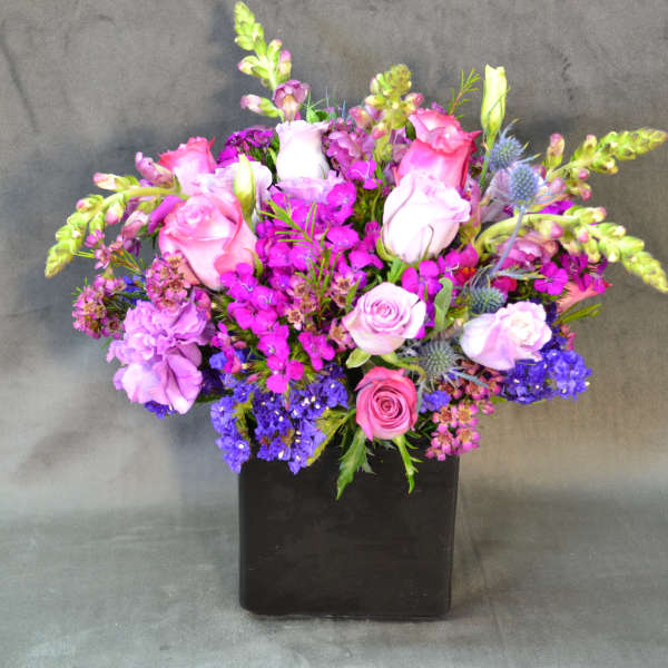 Shadows of Purple