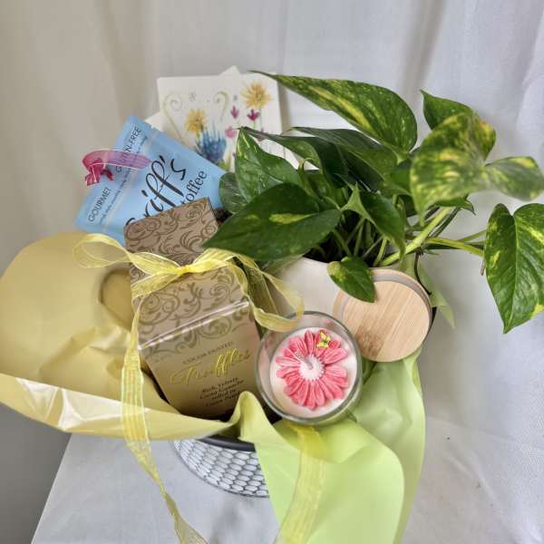 Gift Basket