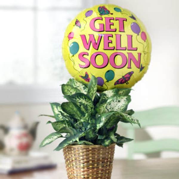 Potted plant in a woven basket with a "Get Well Soon" balloon