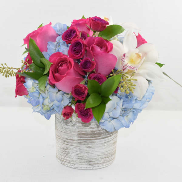 Wow Blue
