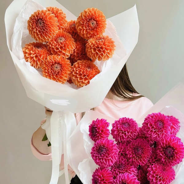 Two bouquets of bright dahlias wrapped in white paper