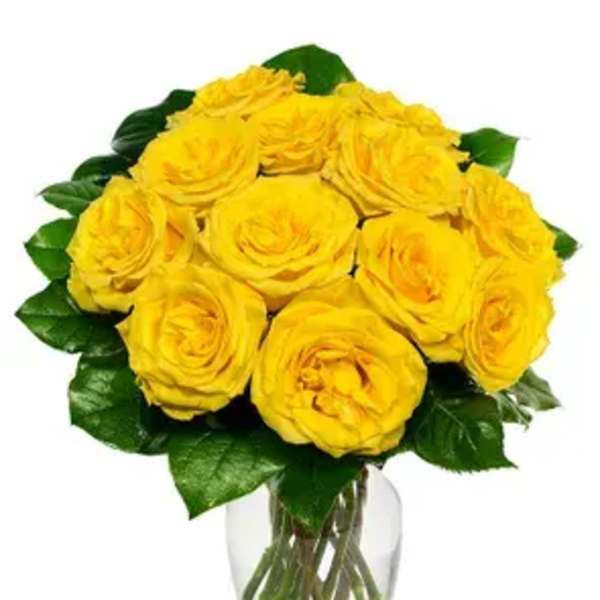 "Sunshine Rose Elegance"