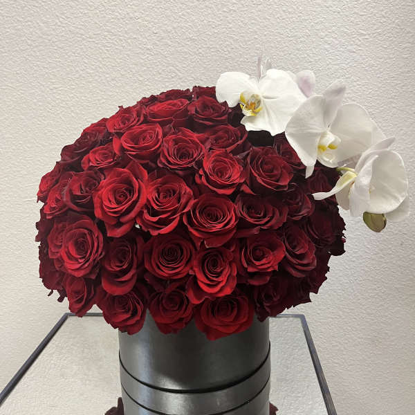 Bandera