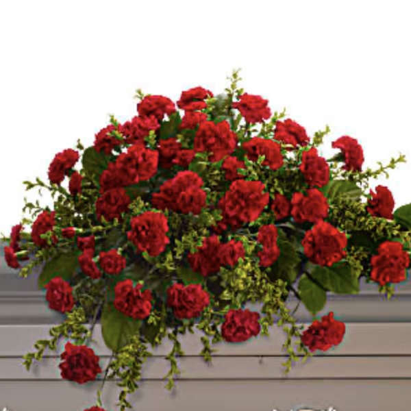 Large arrangement of red carnations with trailing greenery