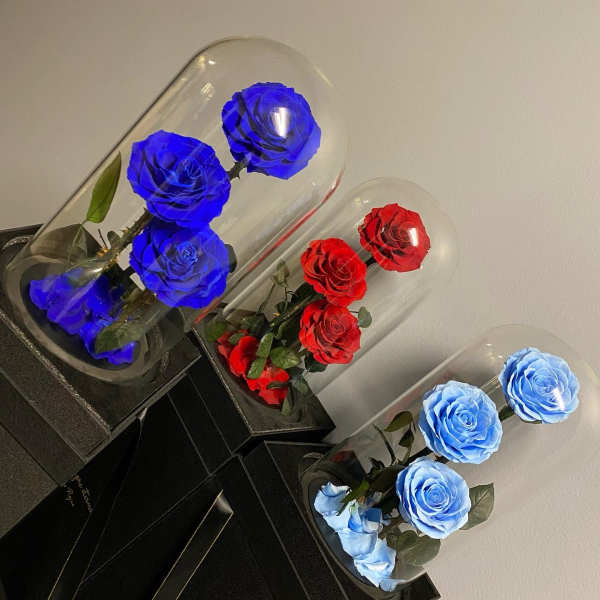 Three roses under clear domes on black bases