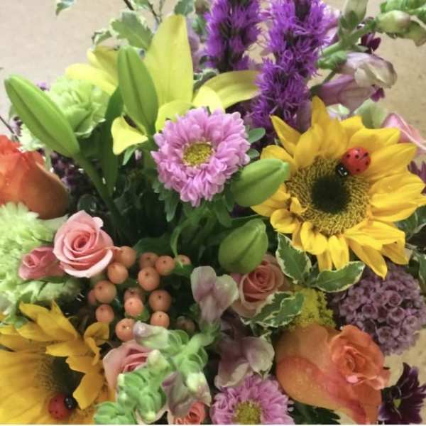 DESIGNERS CHOICE-Spring