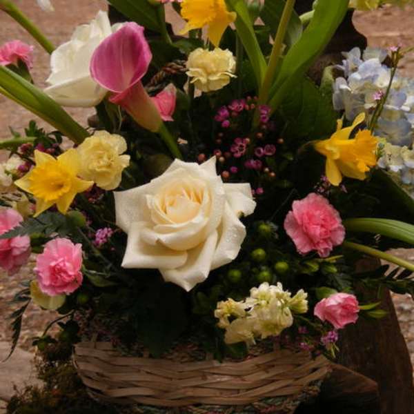 Basket arrangement with roses, tulips, daffodils, and hydrangea