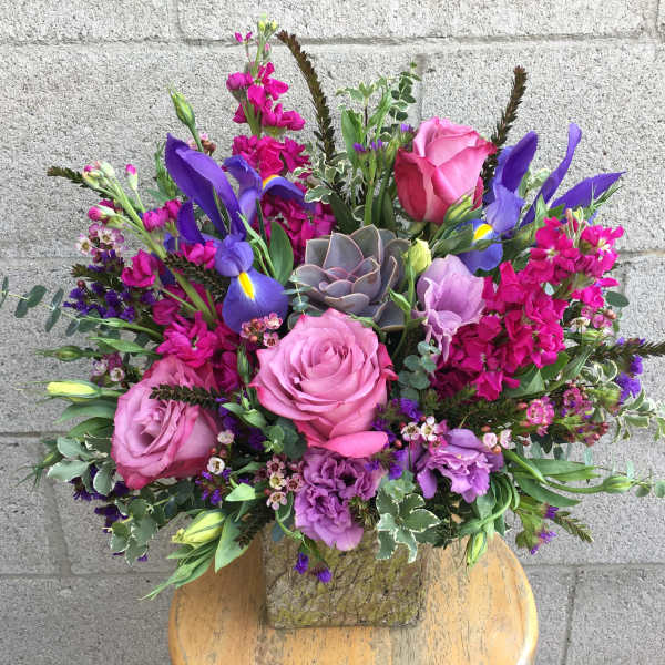 Graceful Garden
