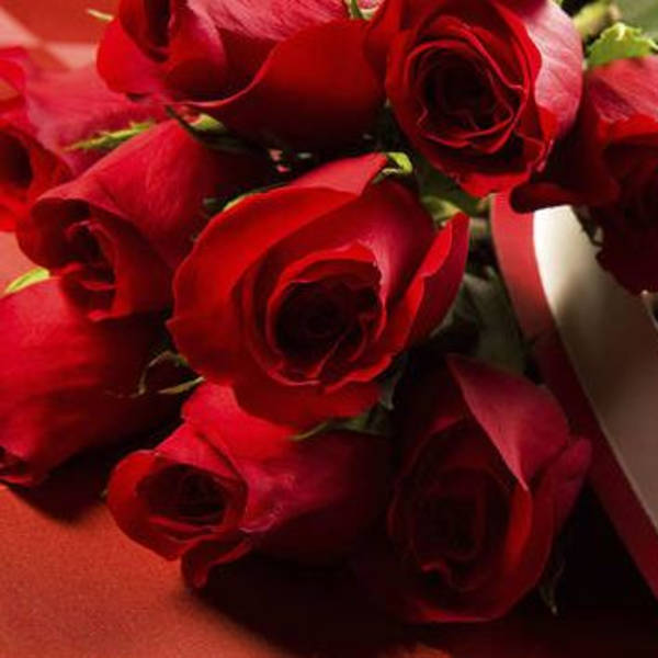 Valentine Classic_ Roses & Chocolates!