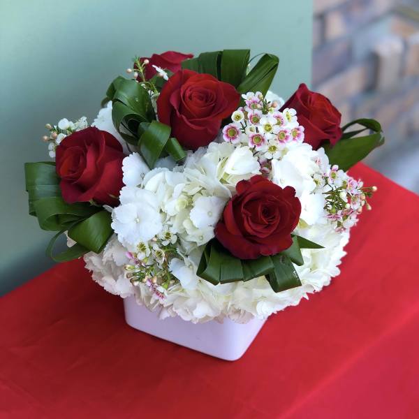 Red roses and white hydrangeas in a white square vase