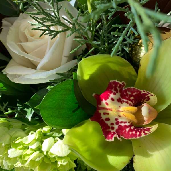 Close-up of a white rose, green cymbidium orchid, and pale green hydrangea blooms
